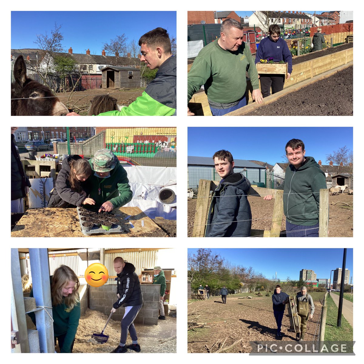 Thank you to <a href="/StJamesFarm1/">St James's Community Farm</a> for their hospitality the last two weeks. They have been fantastic in helping  some of our senior pupils complete their accreditation by participating in a community project.