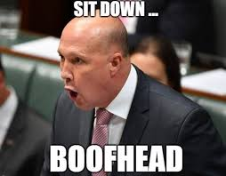 utalkntme's tweet photo. @SharriMarkson You can't gloss over Peter Duttons epic failure from the beginning of the investigation, Shaz. Only a dimwit would attempt to politicise an incident like this. 
#PeterPanic does not have the patience, temperament or competence to lead this country.
#SkyShite
#MurdochGutterMedia https://t.co/t125oWDP9p