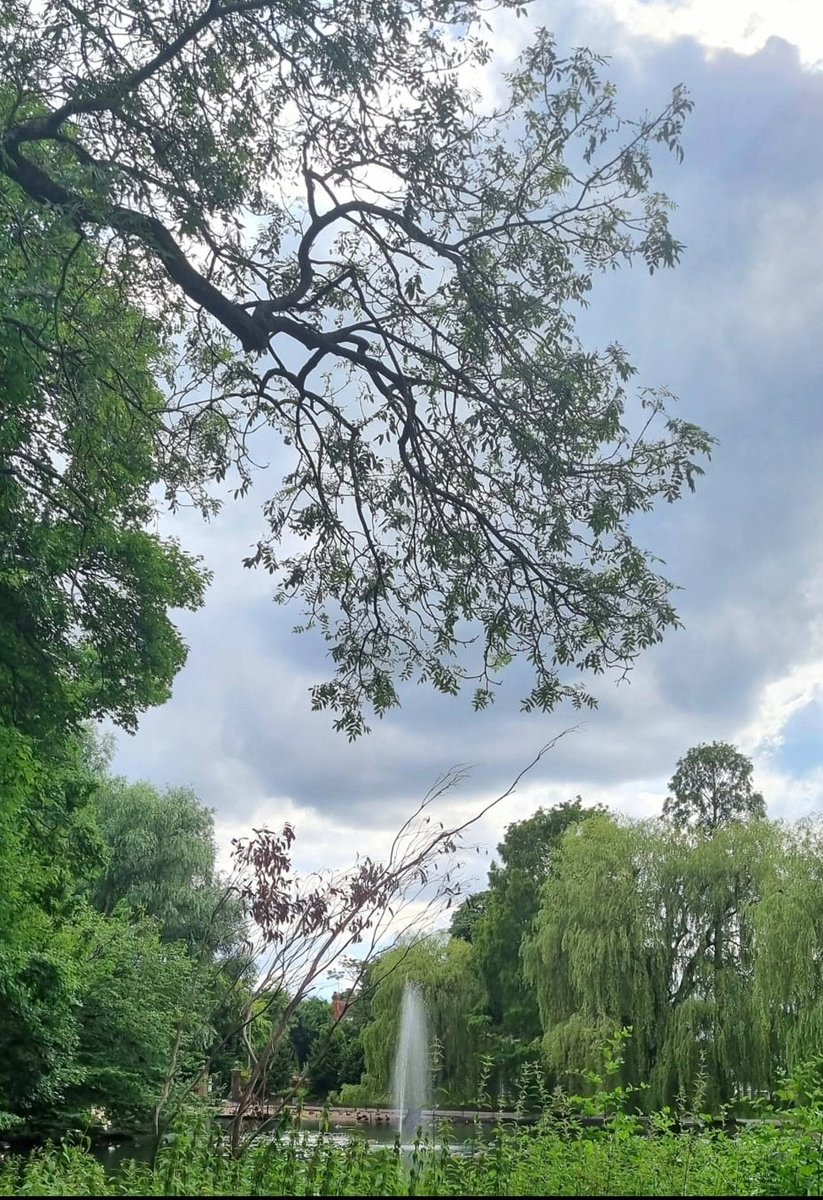 Unleashing Potential Luton tweet media