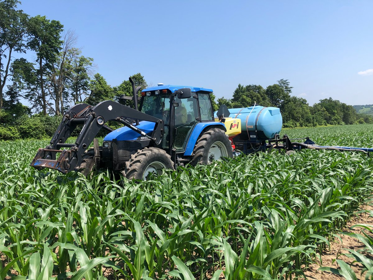 The Split Nitrogen Application Profit Guarantee Pilot allows selected farmers in Eastern or Western Ontario to test this practice with minimal risk. March 31st deadline. surveymonkey.com/r/CCK27NC