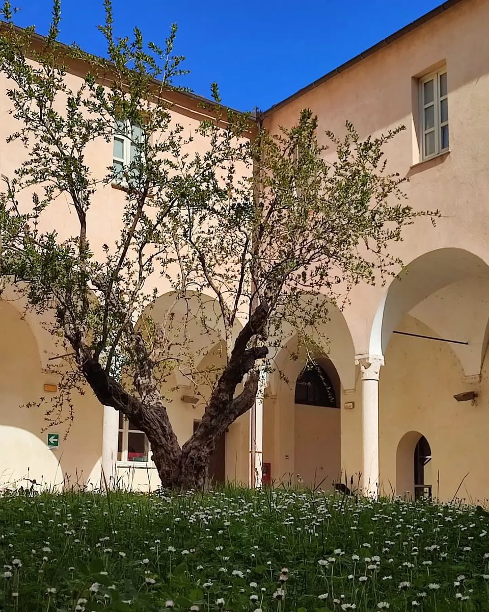 lamialiguria's tweet image. ✨ In #Liguria il fascino dei borghi più belli d’Italia si unisce con il meglio dei prodotti tipici

🏰🌿 Come a #Finalborgo che vi aspetta questo weekend nel Complesso Monumentale di Santa Caterina in occasione del #SaloneAgroalimentare

📸 @mauriziabussi @gigia_phototravel