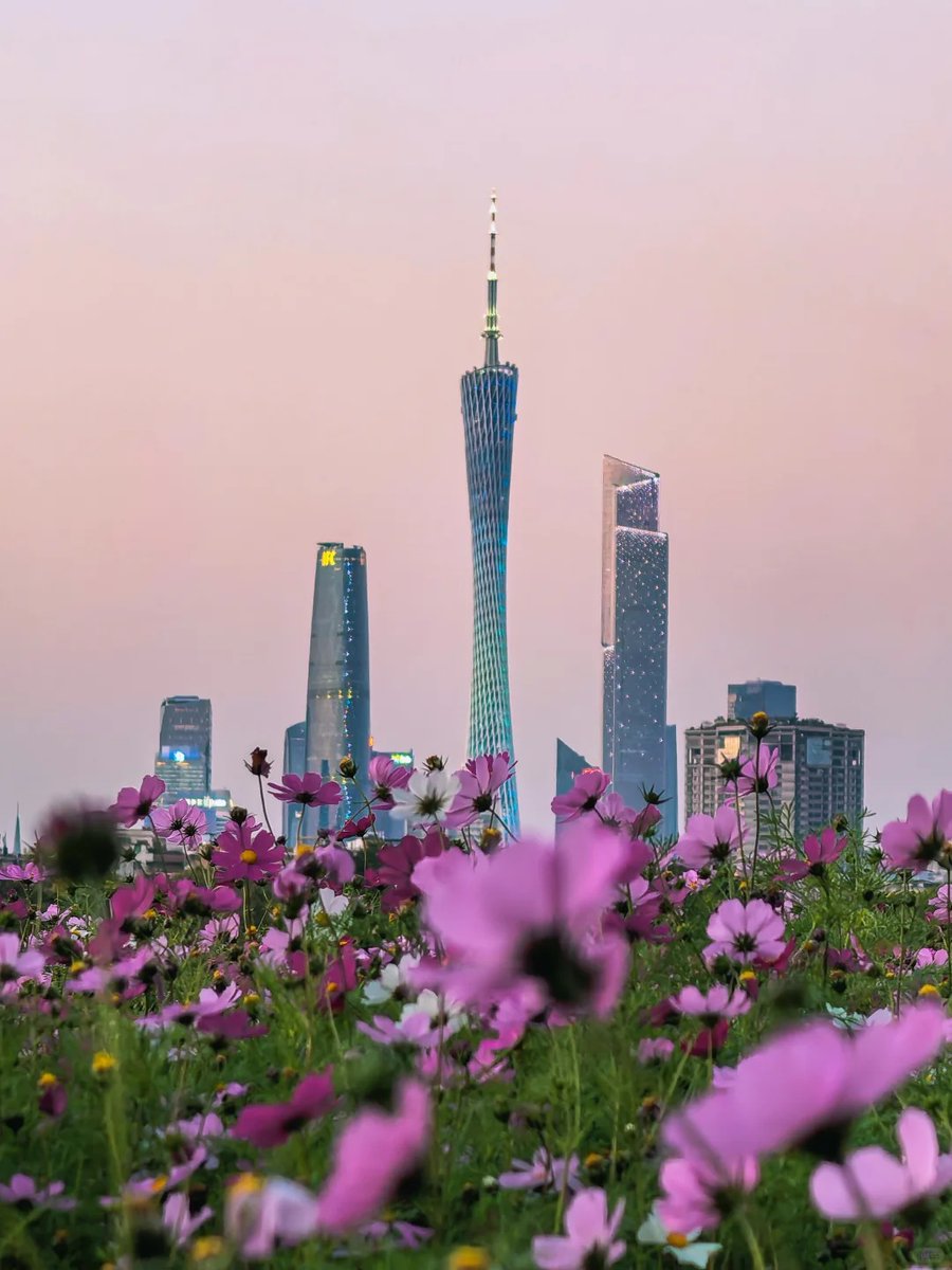 Guangzhou China tweet media