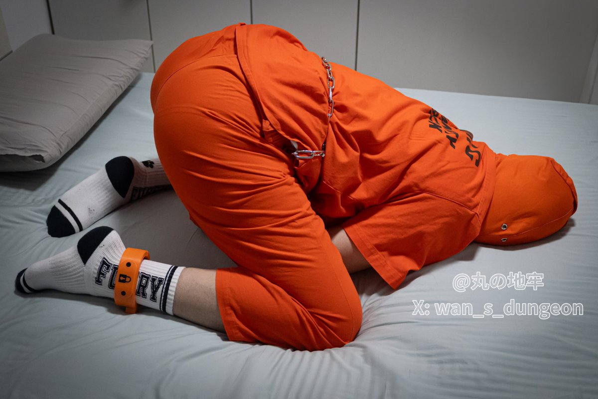 被坏狗囚禁起来了☹️