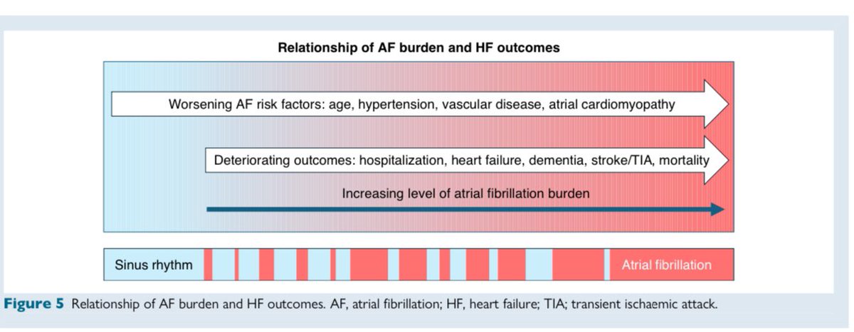 Europace Editor-in-Chief (@europaceeic) on Twitter photo 📣 CONSENSUS DOCUMENT 📚
⏰ AF burden in clinical practice: a clinical consensus statement of the ESC Council of Stroke and the EHRA
<a href="/ESCStrokeChair/">ESC Council on Stroke Chairperson</a> <a href="/EHRAPresident/">EHRAPresident</a>
🔗 academic.oup.com/europace/artic…
<a href="/GiulioConte9/">Giulio Conte</a> <a href="/Dominik_Linz/">Dominik Linz</a> <a href="/FraSantoroMD/">Francesco Santoro, MD, PhD</a> <a href="/AndyZhangMD/">Xiaodong Zhang (Andy), MD, PhD, FHRS, FACC</a> <a href="/DavideMei93/">Davide Mei</a> <a href="/marcovitoloMD/">Marco Vitolo Ⓜ️</a> 📣 CONSENSUS DOCUMENT 📚
⏰ AF burden in clinical practice: a clinical consensus statement of the ESC Council of Stroke and the EHRA
<a href="/ESCStrokeChair/">ESC Council on Stroke Chairperson</a> <a href="/EHRAPresident/">EHRAPresident</a>
🔗 academic.oup.com/europace/artic…
<a href="/GiulioConte9/">Giulio Conte</a> <a href="/Dominik_Linz/">Dominik Linz</a> <a href="/FraSantoroMD/">Francesco Santoro, MD, PhD</a> <a href="/AndyZhangMD/">Xiaodong Zhang (Andy), MD, PhD, FHRS, FACC</a> <a href="/DavideMei93/">Davide Mei</a> <a href="/marcovitoloMD/">Marco Vitolo Ⓜ️</a>