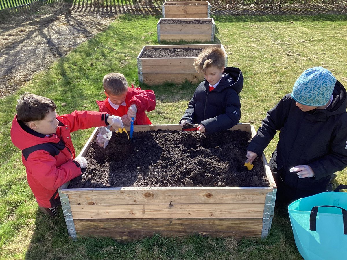 Redmarshschool's tweet photo. A group of our primary pupils were invited to take part in a gardening project, what a lovely afternoon they had planting and caring for the plants. https://t.co/gcMpwxr4wo