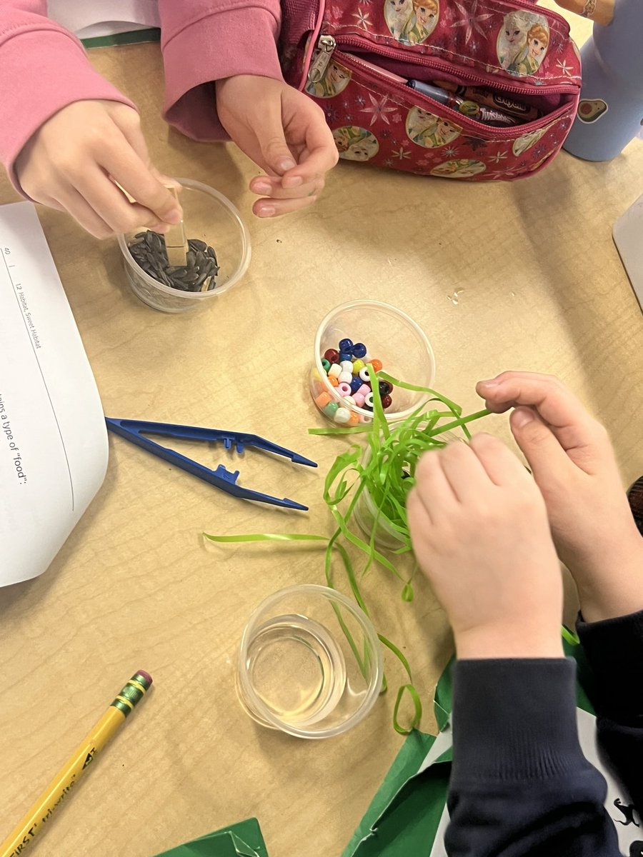 We learned about animal adaptations and explored how different adaptations help animals feed. Check out these students hard at work, hands on, testing out their 'beak'. 🦆🐦‍⬛🦅 <a href="/LMMahwah/">Lenape Meadows School</a>