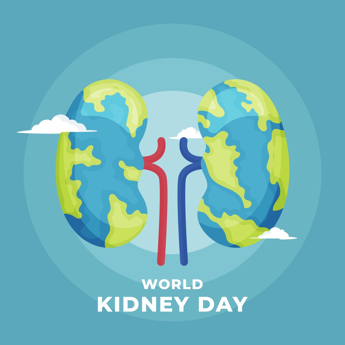 🚀 Today, the PerMediK team is traveling to Lisbon!
As we embark on this journey, we take a moment to celebrate World Kidney Day while also sharing our commitment to advancing research and innovation in kidney health. 
💙 Together, we can shape a healthier future!
#WorldKidneyDay