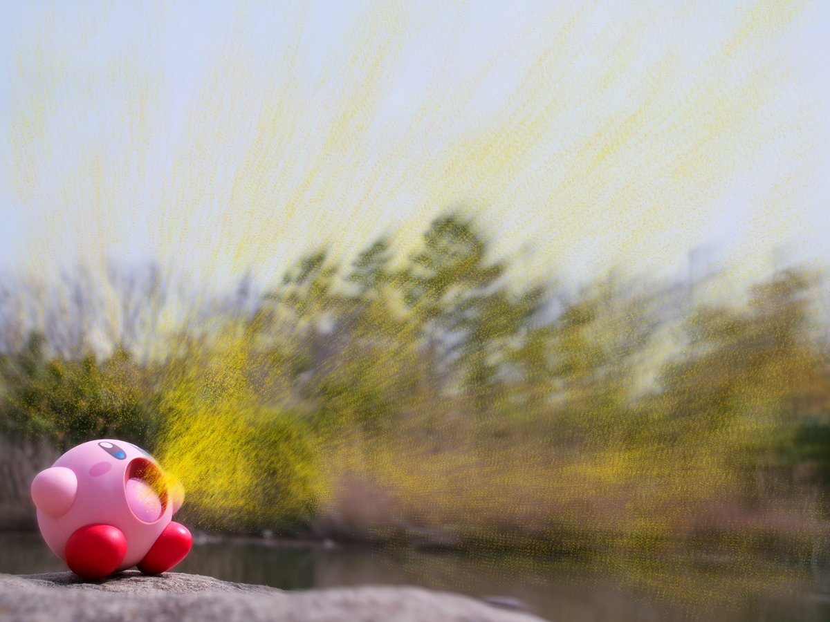 kissshot51's tweet image. 花粉を吸い込んでくれるカービィ