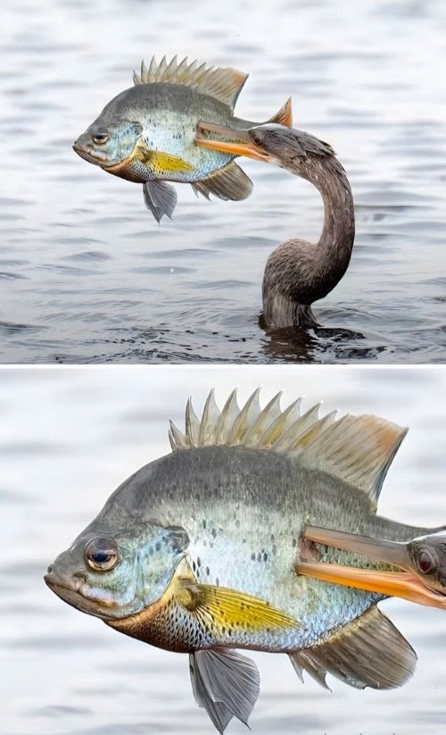 Когда дела идут не очень хорошо, но ты не удивлён, потому что они никогда хорошо и не шли