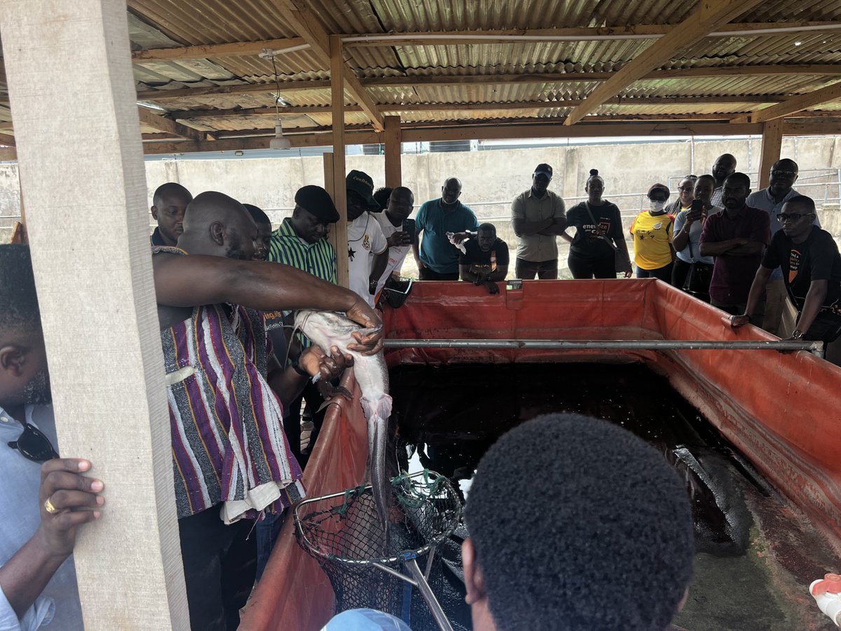 360_farm's tweet image. Throwback to an exciting day on the farm with Fidelity Bank!
We had an amazing time hosting the team, sharing insights on agribusiness and building strong partnerships for a food-secure future! 🚜💡
#Swiftsolutions #Drisey4Life #HappybirthdayTessy #NRAGT #Pizzamantwanadi