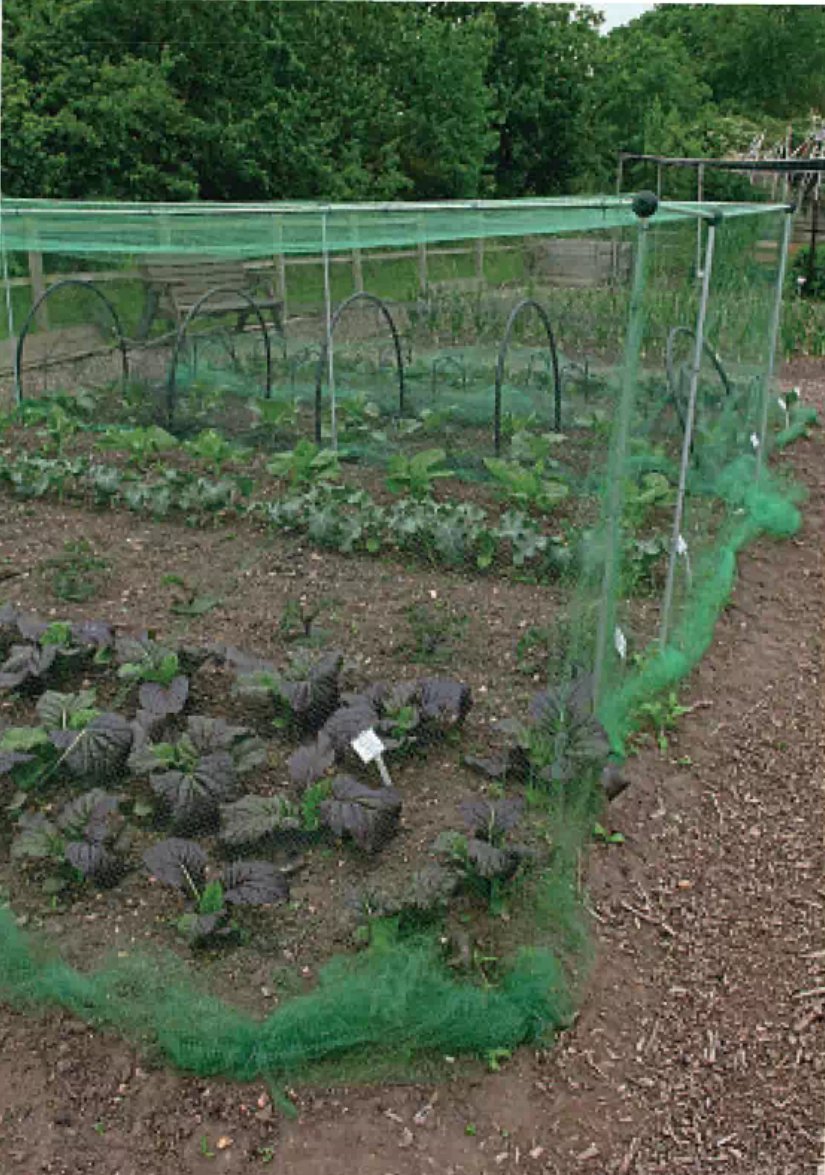 If you are using this cheaper green netting, take care. It is important not to leave excess rolled up on the ground. A pile of rolled-up netting can trap frogs, toads, &amp; even a bird. If you are using this flimsy material, ensure it is taut &amp; trimmed, with no excess on the ground.