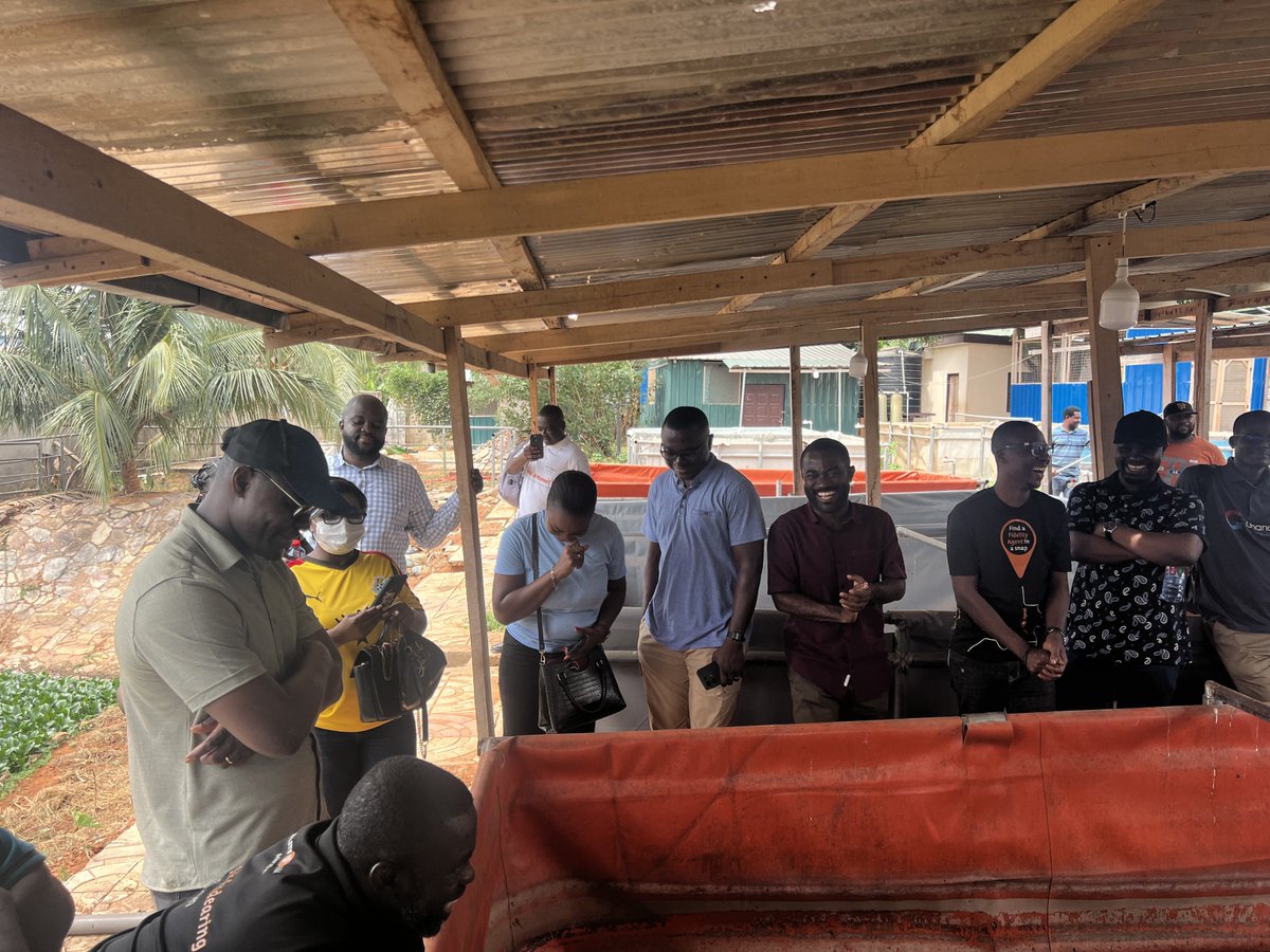 nnoboa360's tweet image. Throwback to an exciting day on the farm with Fidelity Bank!
We had an amazing time hosting the team, sharing insights on agribusiness and building strong partnerships for a food-secure future! 🚜💡
#Swiftsolutions #Drisey4Life #HappybirthdayTessy #NRAGT #Pizzamantwanadi