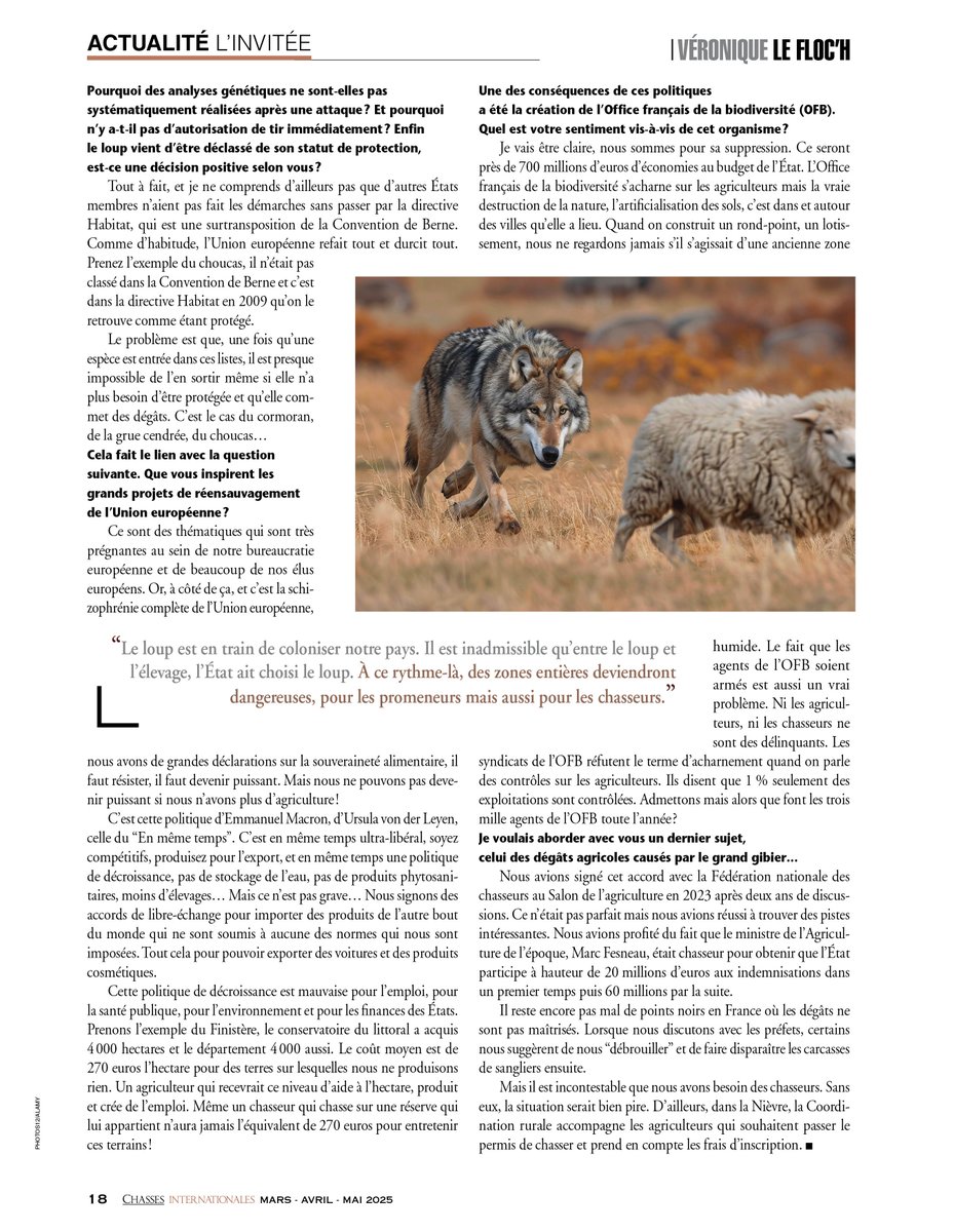Denis Plat (@platdenis) on Twitter photo Interview de <a href="/VeroLefloch/">Véronique Le Floc'h</a>, présidente de la <a href="/coordinationrur/">Coordination Rurale</a>, dans le dernier numéro de <a href="/ChassesInterna1/">Chasses Internationales</a>
#Agriculture
#ruralité
#paysan Interview de <a href="/VeroLefloch/">Véronique Le Floc'h</a>, présidente de la <a href="/coordinationrur/">Coordination Rurale</a>, dans le dernier numéro de <a href="/ChassesInterna1/">Chasses Internationales</a>
#Agriculture
#ruralité
#paysan