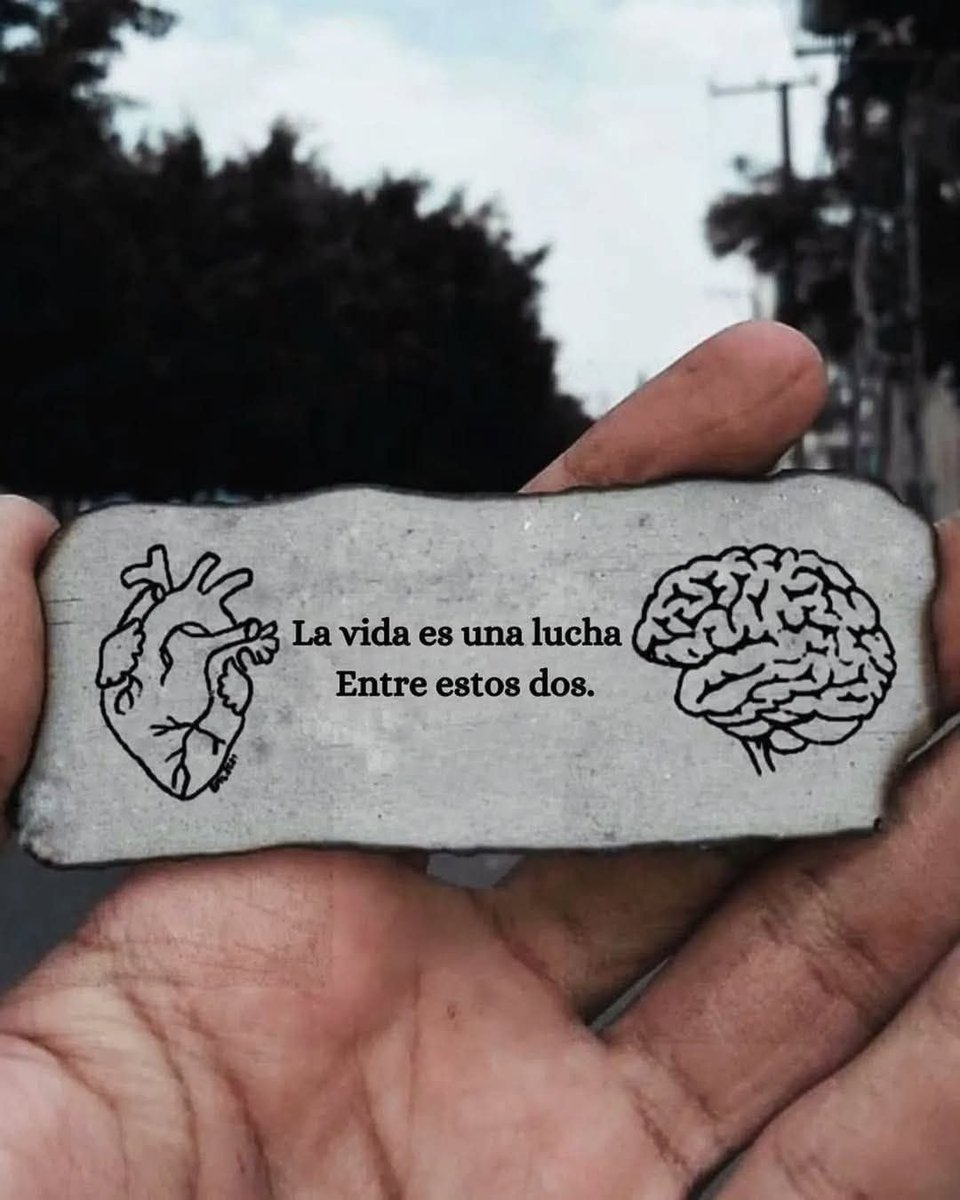 Cultura Literal (@culturaliteral1) on Twitter photo 