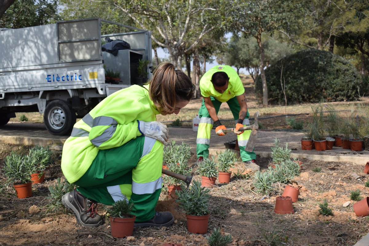 Jardines de Cartagena tweet media