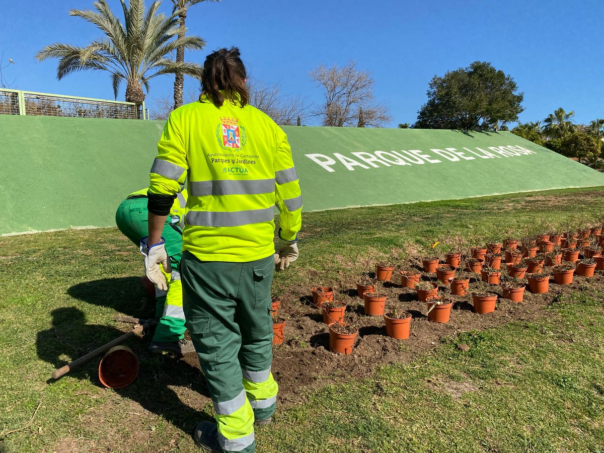 Jardines de Cartagena tweet media