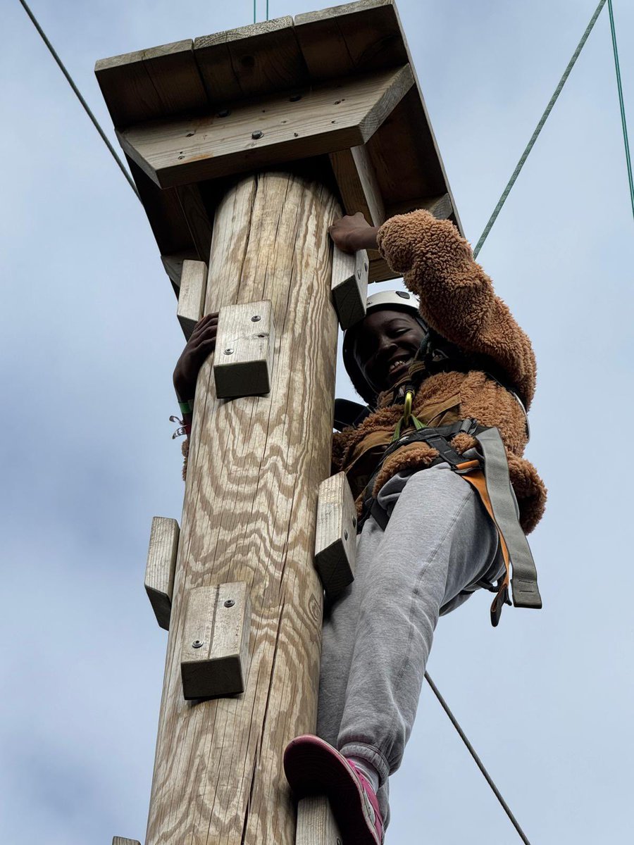 Discovery Primary School Year 5 tweet media