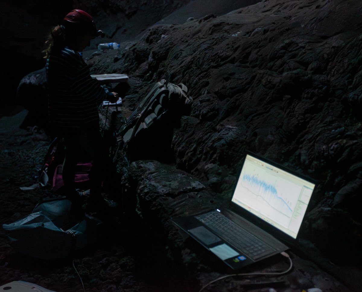 [EUSK] UPV/EHUko IBeA iker taldeko Julene Aramendia, Irantzu Martinez, Fernando Alberquilla eta Leire Coloma kideak PaLMALab espedizioan murgilduta daude.💻🔦🔬

La Palmako bolkanean egon ziren otsailean laba-hodiak aztertzen, izan ere, antzekotasun geokimikoak baitaude laba-hodi