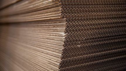 Inside Packaging & Packaging Gateway (@insidepackaging) on Twitter photo The plant is set to span approximately 350,000ft² and produce over 110 million square metres of corrugated packaging.
buff.ly/5VCYobD
#corrugatedpackaging #sustainablepackaging #packagingsolutions #ecopackaging
buff.ly/OQJph33
<a href="/SaicaGroup_en/">Saica Group (ENG)</a> The plant is set to span approximately 350,000ft² and produce over 110 million square metres of corrugated packaging.
buff.ly/5VCYobD
#corrugatedpackaging #sustainablepackaging #packagingsolutions #ecopackaging
buff.ly/OQJph33
<a href="/SaicaGroup_en/">Saica Group (ENG)</a>