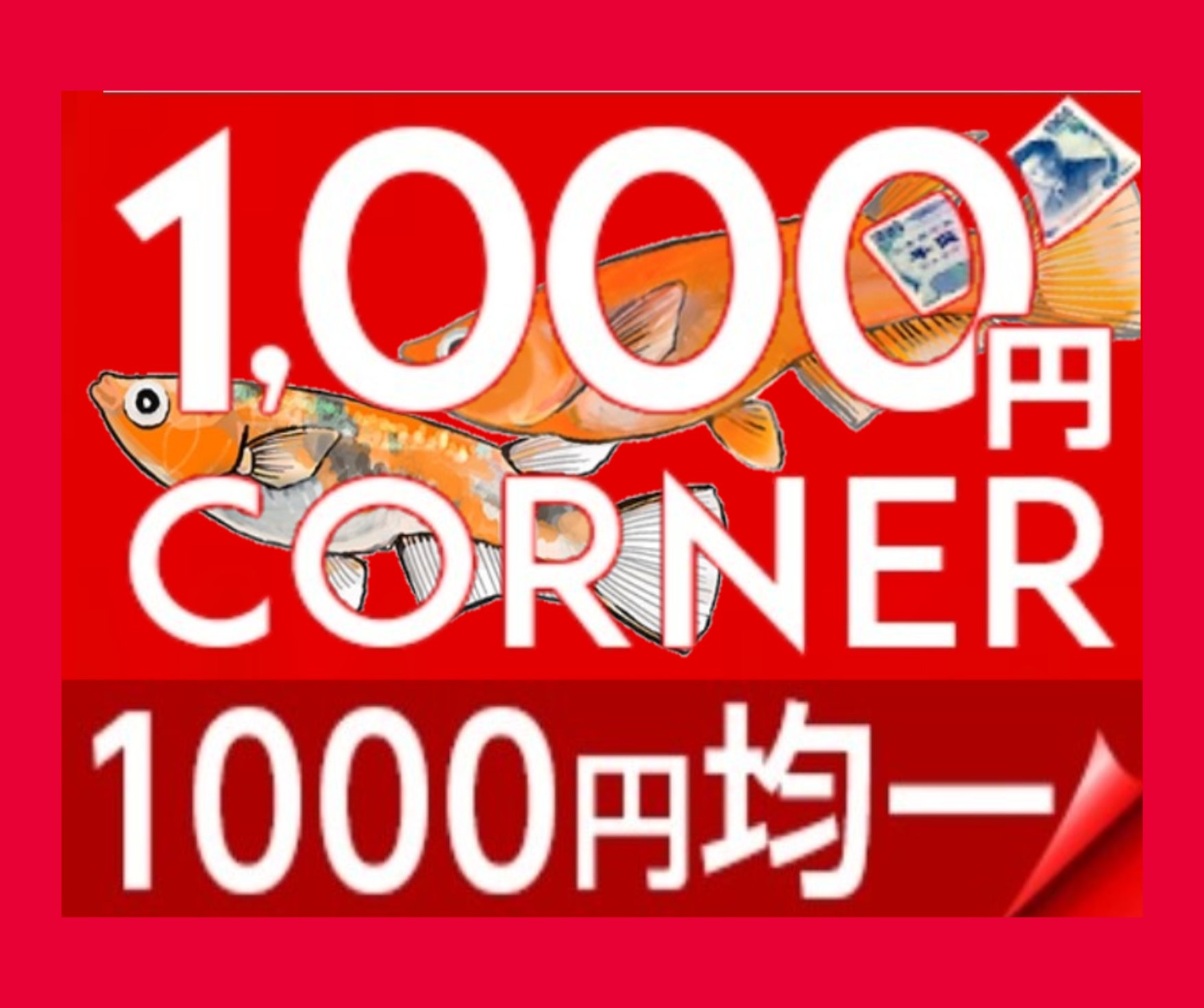 4/20 ◇10時オープン♢高級めだか販売※めだかHOUSE日田 (めだか