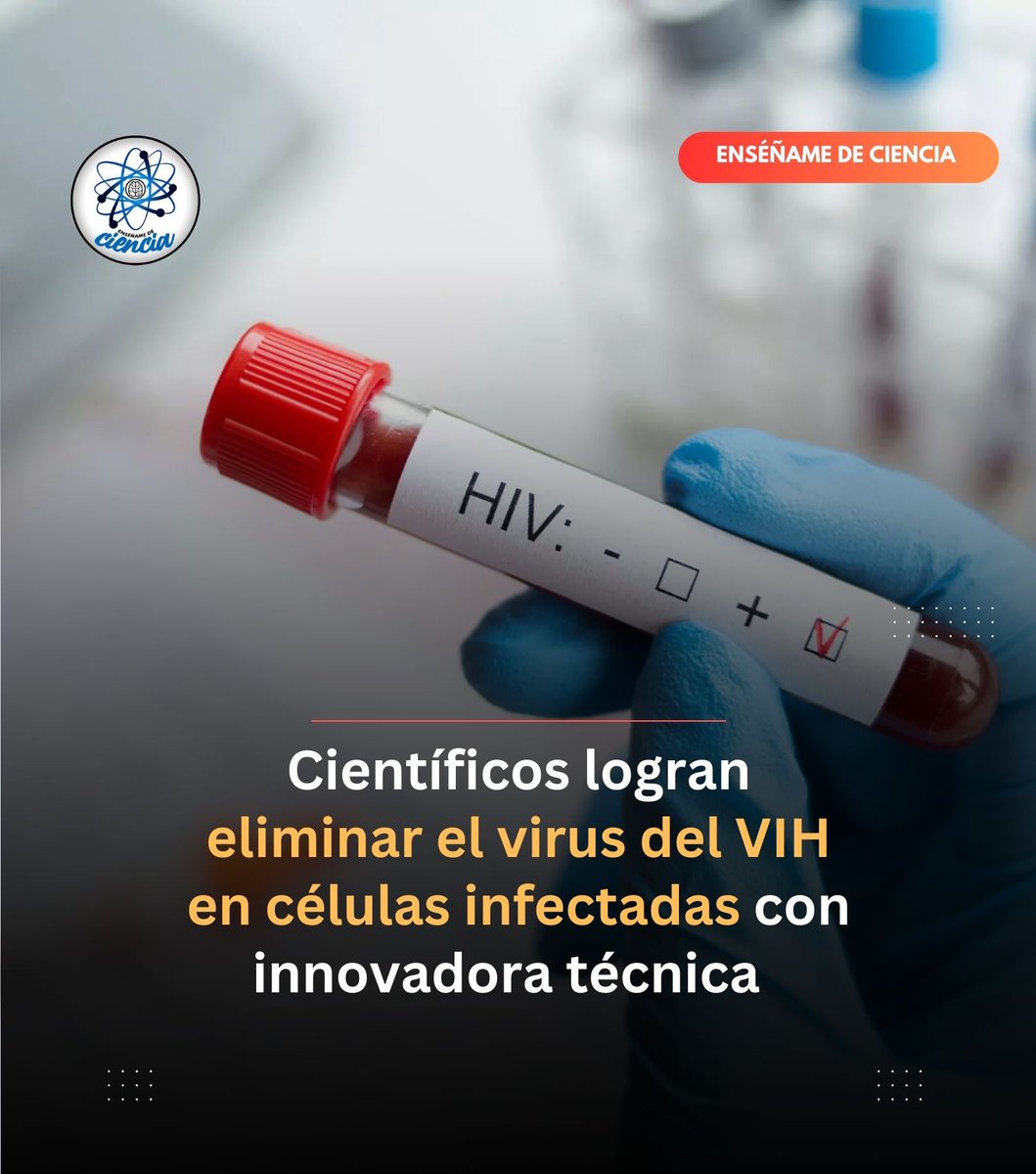 La esperanzadora noticia que esperaban casi 40 millones de personas a nivel mundial. 👇
