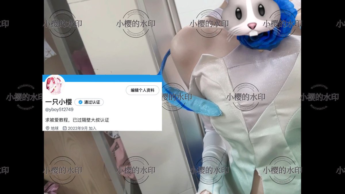 媒体预览