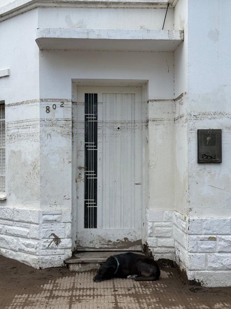 Buenas! Compartimos las formas de ayudar a la gente de Bahía Blanca que sufrió unas inundaciones terribles en finde pasado 🖤
alias 🇦🇷: donafundacionsi
alias 🇦🇷: bahiaxbahia
alias 🌎: bahiaxbahia.usd