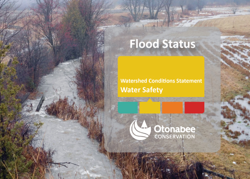Otonabee Conservation has issued a Water Safety Statement in anticipation of the upcoming warm temperatures and expected rainfall this weekend. Residents should maintain safety precautions around all watercourses. 
Read more here: ow.ly/5v6Q50VhsbH