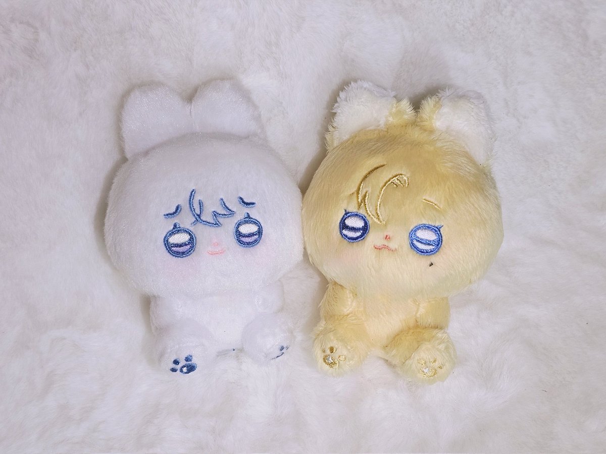 집토끼 예쫑이💙 여행 마치고 온 놔쫑이💜