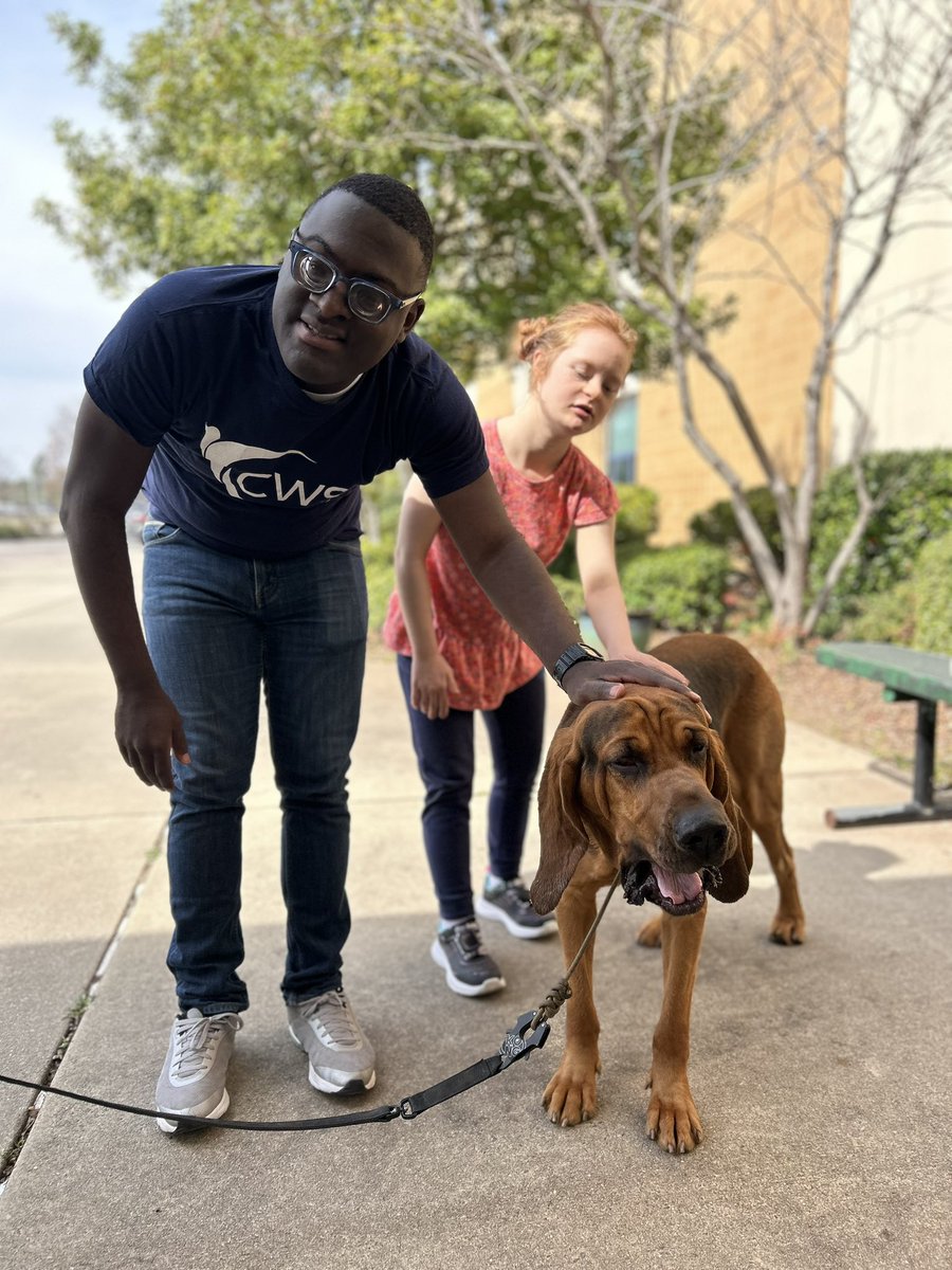 Danielle Jensen (@d_jensenghhs) on Twitter photo Spent some time this afternoon learning from Officer Fletcher and Clyde 🐾 <a href="/CaryPolice/">CaryNC Police Department</a> Spent some time this afternoon learning from Officer Fletcher and Clyde 🐾 <a href="/CaryPolice/">CaryNC Police Department</a>