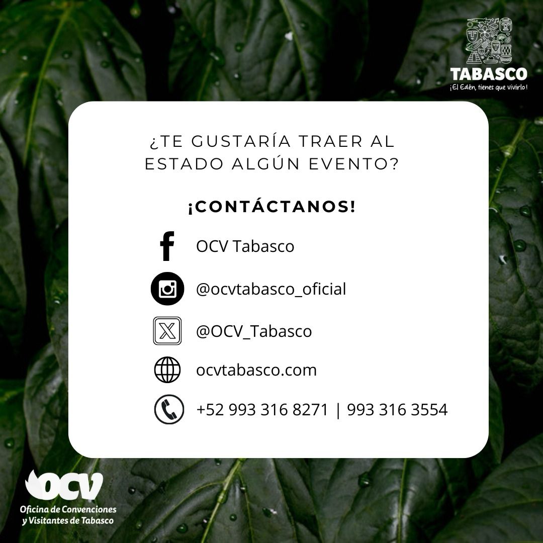 Nuestro equipo, nuestra fuerza ✨🙌🏻

Queremos presentarte a las personas que hacen posible nuestro éxito.

¡Conócelos! 👉🏻

“Tabasco, el edén de los grandes encuentros”🌺
#SomosOCVTabasco