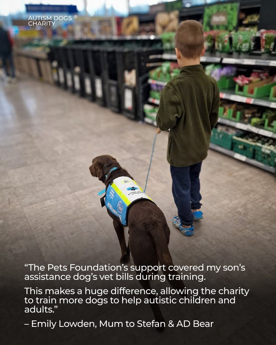 33 assistance dogs received vital vet care thanks to <a href="/petsfdtnuk/">Pets Foundation</a>!

This grant reduced financial barriers &amp; ensured every dog was healthy &amp; ready for their role. Handlers like Noah &amp; Stefan now have the support they need for greater independence. 🐾💙

#AutismDogs #PetsFoundation