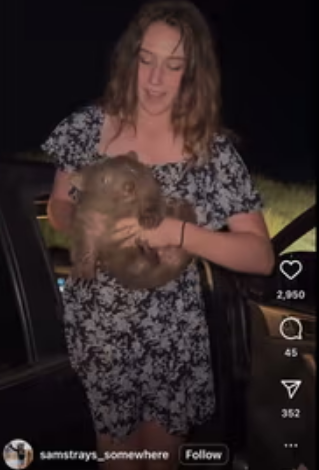 𝔅͛𝔯͛𝔦͛𝔞͛𝔫͛ ͛𝔚͛𝔥͛𝔢͛𝔩͛𝔱͛𝔬͛𝔫͛ tweet media