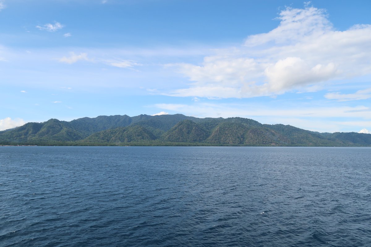 3️⃣ 🏝️The islands Java, Maluku &amp; Sumatra act as Corridors, 🔗connecting species across the region. Meanwhile, 🦘 Australia, 🇮🇳 India and 🇵🇭 the Philippines are Accumulators, collecting diversity from elsewhere! 🌿 #IslandBiogeography