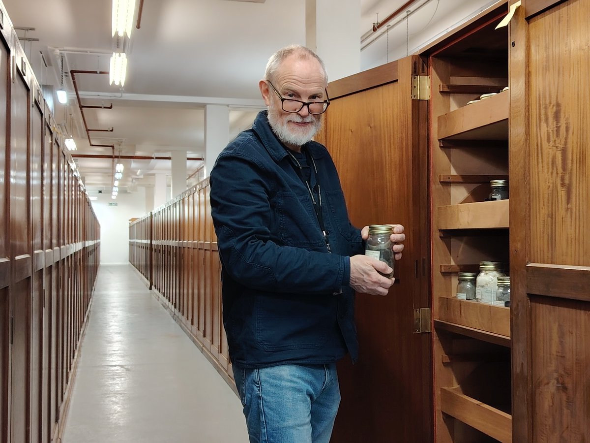 Science at the Natural History Museum (@nhm_science) on Twitter photo What’s it like to be a curator?
Giles Miller, our Principle Curator in Charge of Invertebrate and Plant Palaeobiology, shares his diary entries over the course of his week in our latest blog. nhm.ac.uk/our-science/bl… <a href="/NHMPalaeobotany/">NHMPalaeobotany</a> What’s it like to be a curator?
Giles Miller, our Principle Curator in Charge of Invertebrate and Plant Palaeobiology, shares his diary entries over the course of his week in our latest blog. nhm.ac.uk/our-science/bl… <a href="/NHMPalaeobotany/">NHMPalaeobotany</a>