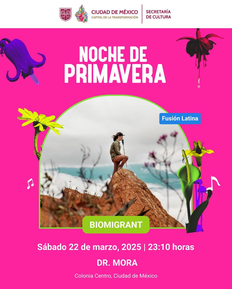 Página Zero tweet media