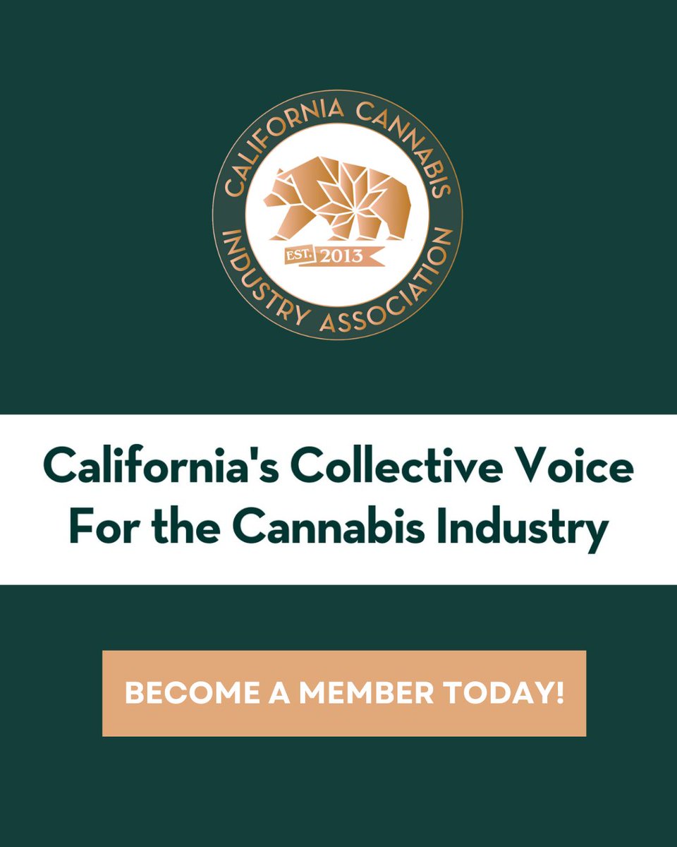 We’re so excited to announce our newly elected Board of Directors—leaders who bring deep expertise across all segments of the supply chain. Welcome to CCIA, Aaron Markowitz (Nabis), Lauren Carpenter (Embarc), Lizzie Spier (Halara) and Sam Rodriguez (Good Farmers Great Neighbors)!