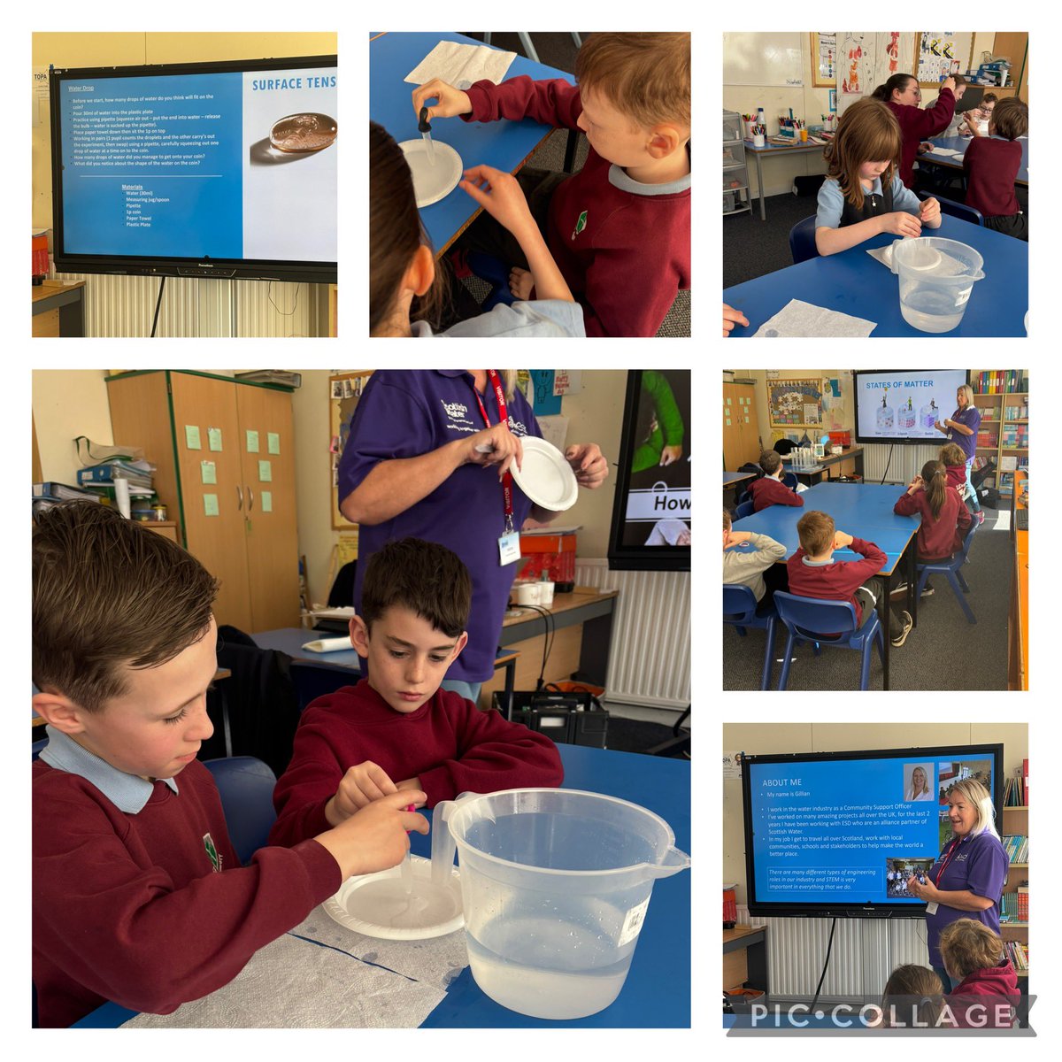 crosshill_ps's tweet image. Gillian visited from ESD today and is a STEM ambassador. She shared the importance of water, STEM jobs in the industry and we completed experiments relating to chemical reactions. #STEM #CrosshillClass2