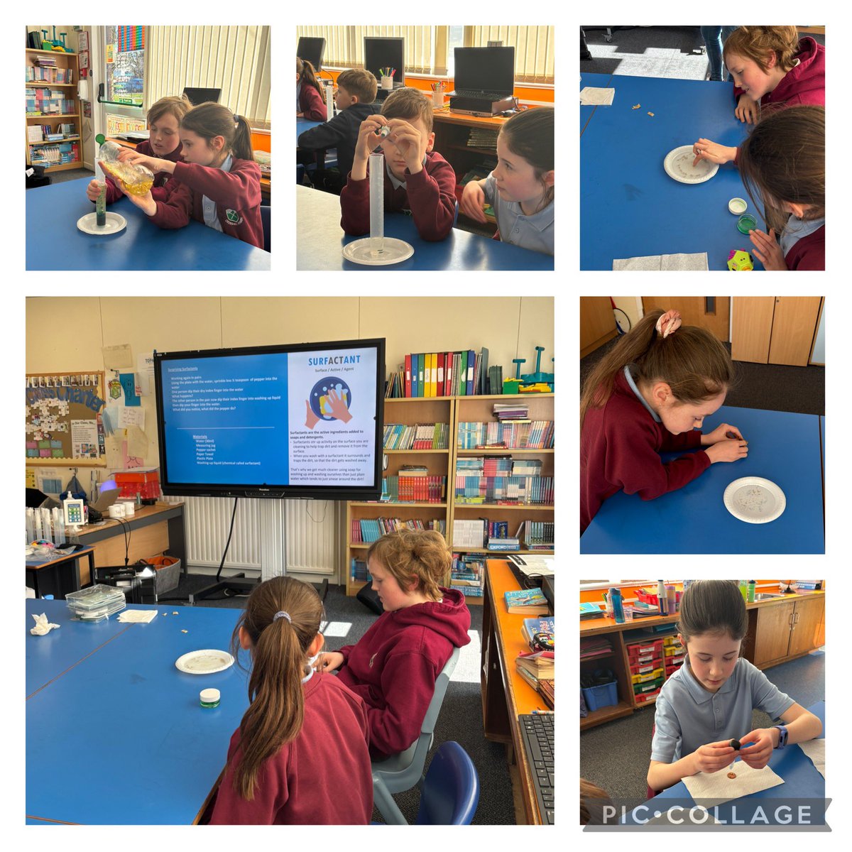 crosshill_ps's tweet image. Gillian visited from ESD today and is a STEM ambassador. She shared the importance of water, STEM jobs in the industry and we completed experiments relating to chemical reactions. #STEM #CrosshillClass2
