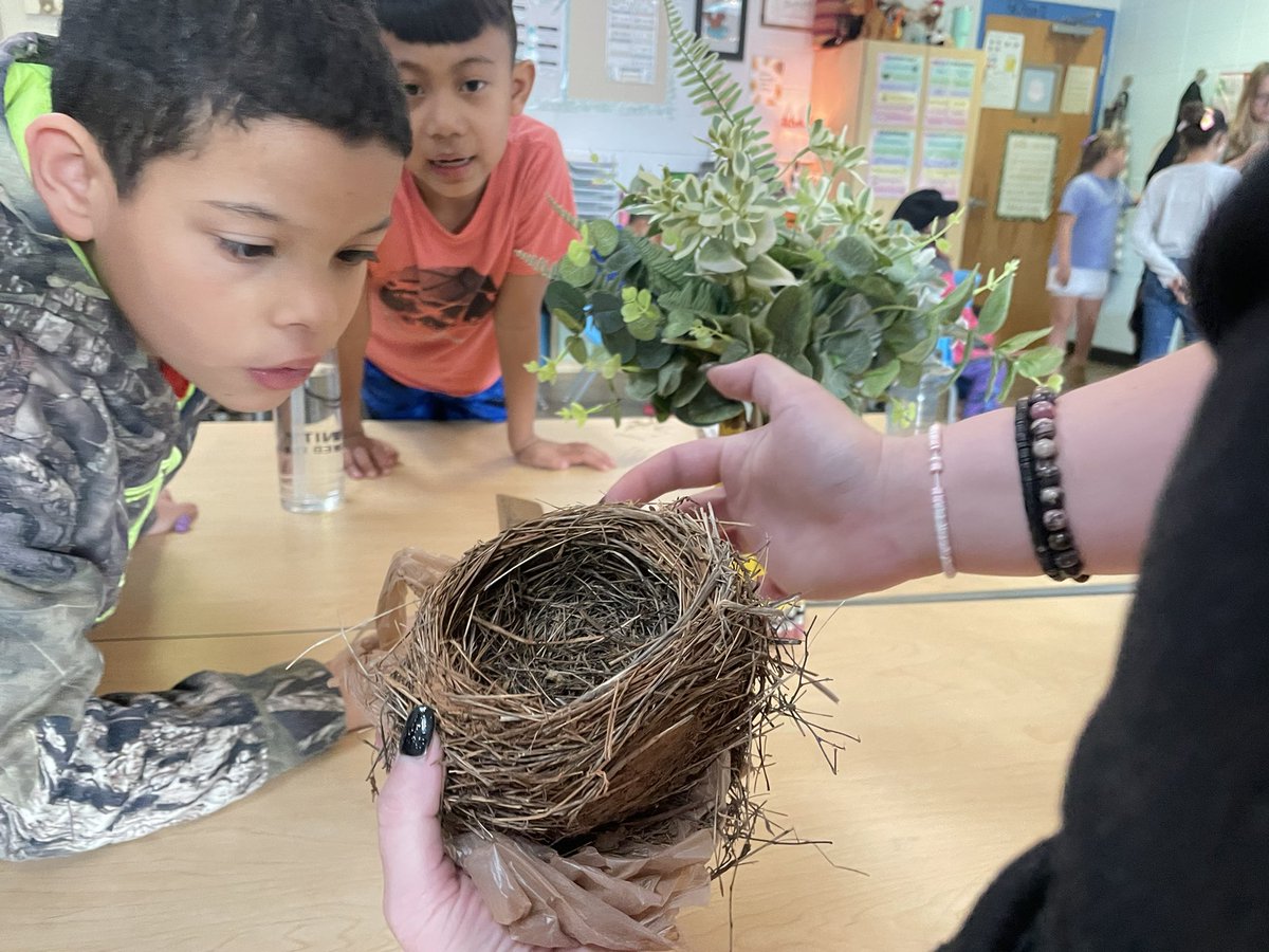 GraceLearning's tweet image. Exploring Habitats! @NatcherElem