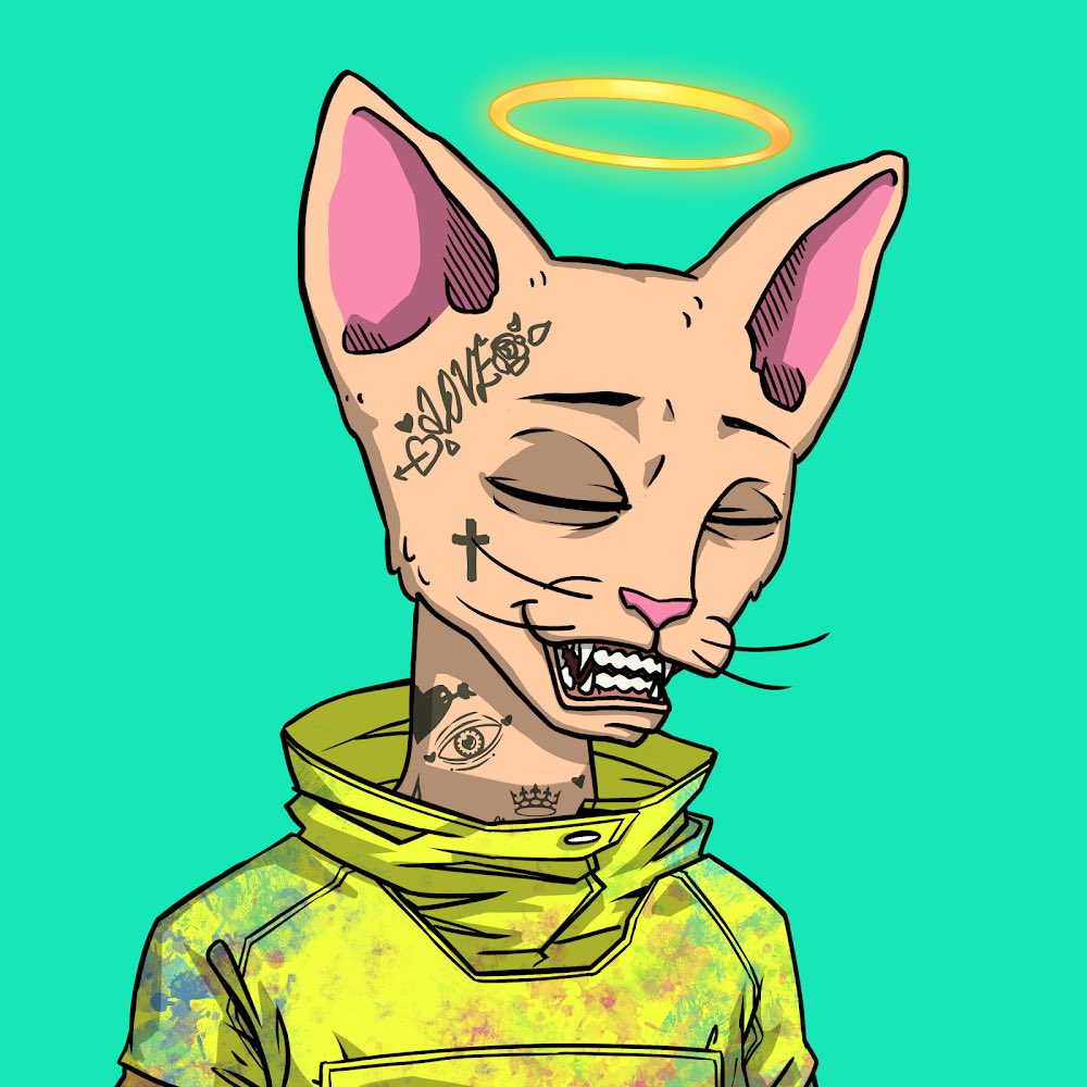 CETS IS FURREVER 🤌🏻