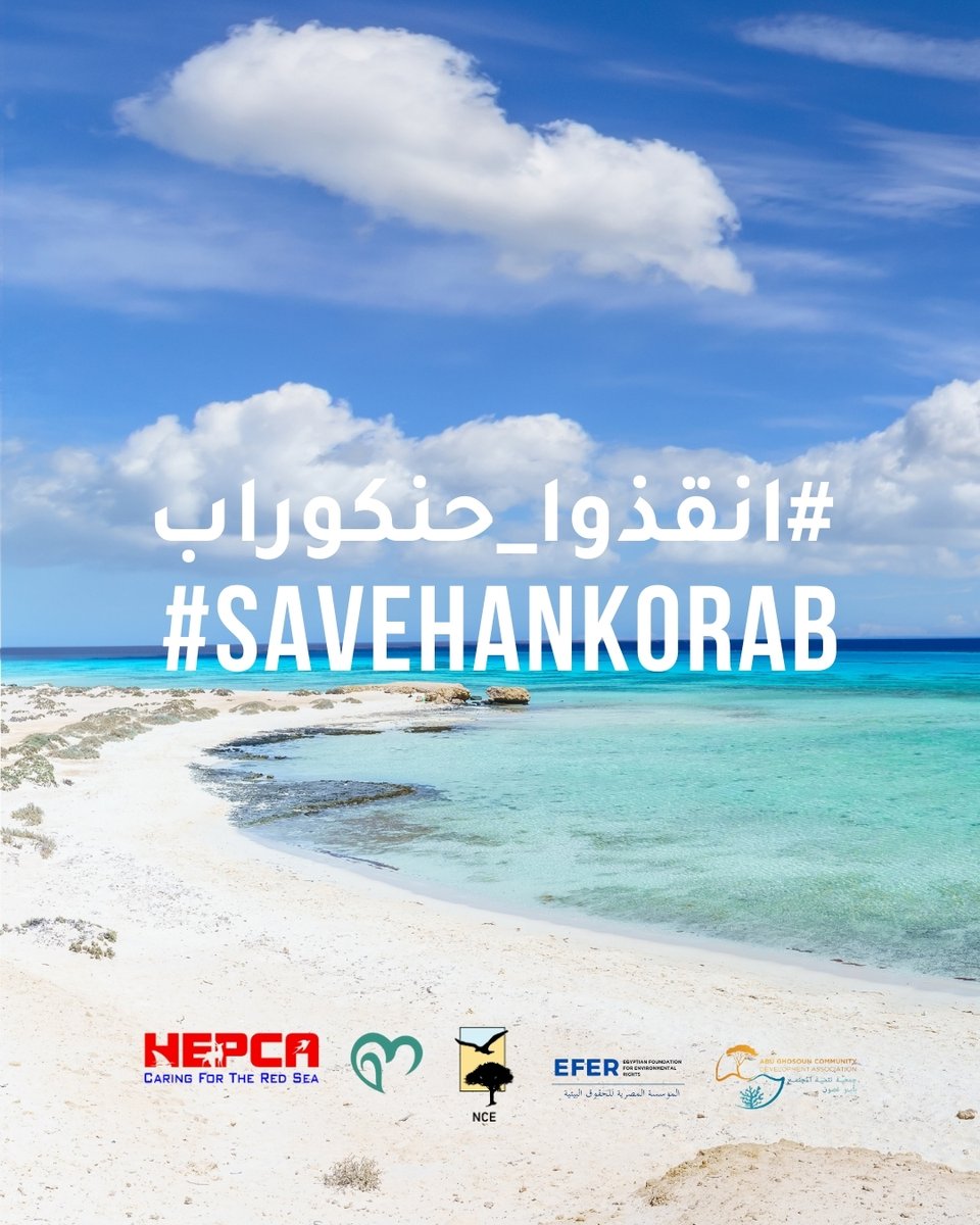 HEPCA (@hepca3) on Twitter photo Save Ras Hankorab Before It’s Too Late! 
Ras Hankorab, one of the most stunning natural beaches in the Egyptian Red Sea, is under serious threat! This unique site, home to rare coral reefs and endangered marine life, is facing unsustainable development pressures #savehankorab Save Ras Hankorab Before It’s Too Late! 
Ras Hankorab, one of the most stunning natural beaches in the Egyptian Red Sea, is under serious threat! This unique site, home to rare coral reefs and endangered marine life, is facing unsustainable development pressures #savehankorab