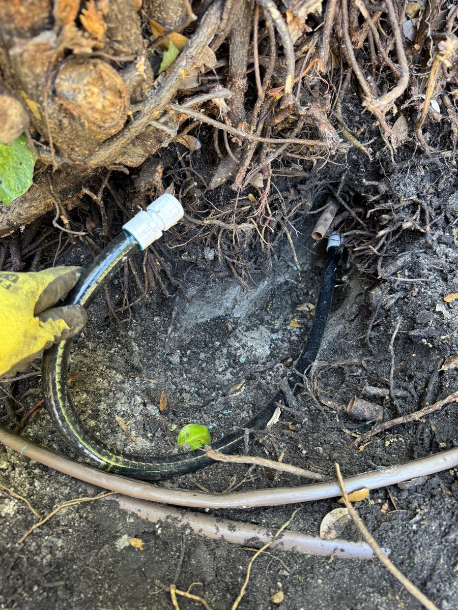 Michael Derewenko tweet media