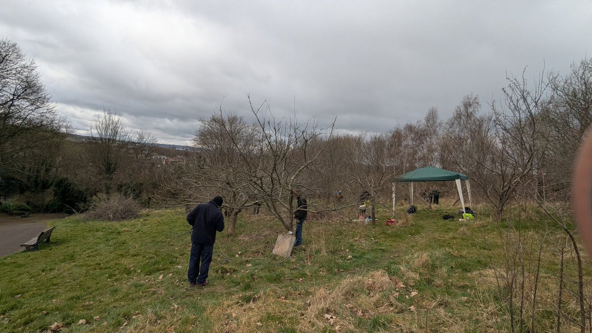Training day today!... In the lovely High Hazels Park, Sheffield learning how to prune, graft and care for fruit trees. Valuable knowledge for managing our Community Orchards
