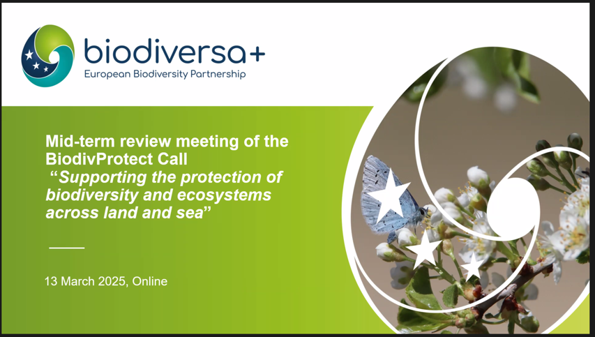 ClimateInvasives (@climateinvasive) on Twitter photo .<a href="/ClimateInvasive/">ClimateInvasives</a> is attending the mid-term reporting meeting for all the 36 <a href="/BiodiversaPlus/">Biodiversa+ (European Biodiversity Partnership)</a> projects from the #BiodivProtect call today. Many interesting updates from the various projects! #biodiversity .<a href="/ClimateInvasive/">ClimateInvasives</a> is attending the mid-term reporting meeting for all the 36 <a href="/BiodiversaPlus/">Biodiversa+ (European Biodiversity Partnership)</a> projects from the #BiodivProtect call today. Many interesting updates from the various projects! #biodiversity