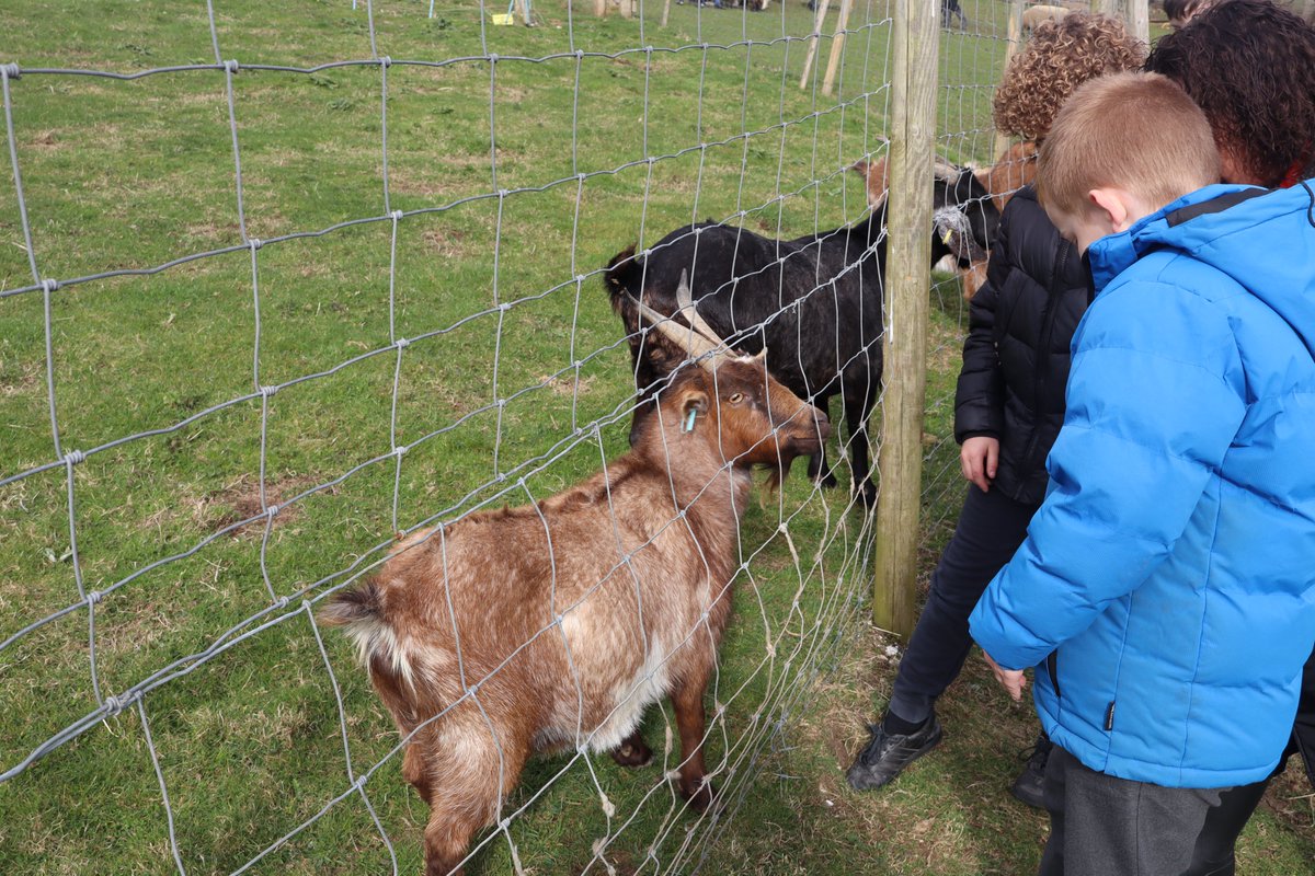 Rudyard Kipling Primary School & Nursery (RKPS) tweet media