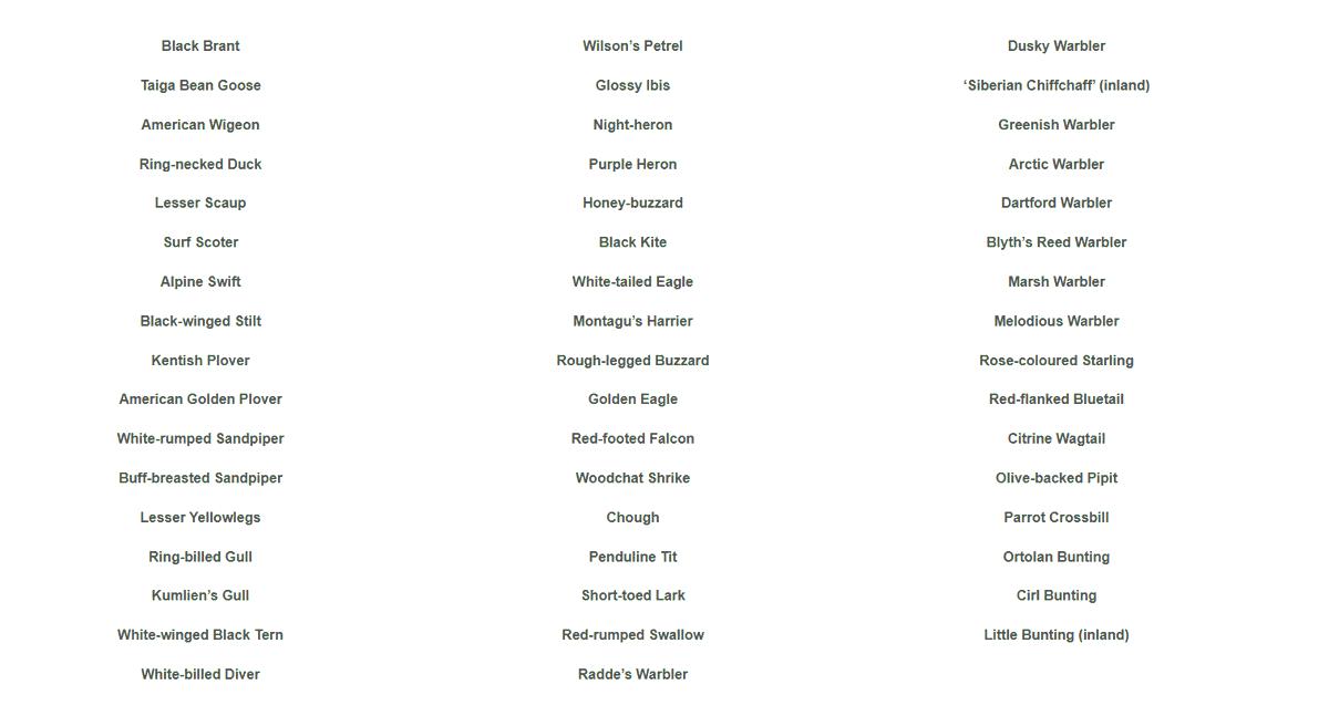 Please remember that if you found any bird in Yorkshire requiring a description for <a href="/ynuorg/">YNU</a> last year, can you please send in a description if not already. Following link shows you how to do it: ynu.org.uk/recording-sect… The list of species requiring descriptions is in the image.