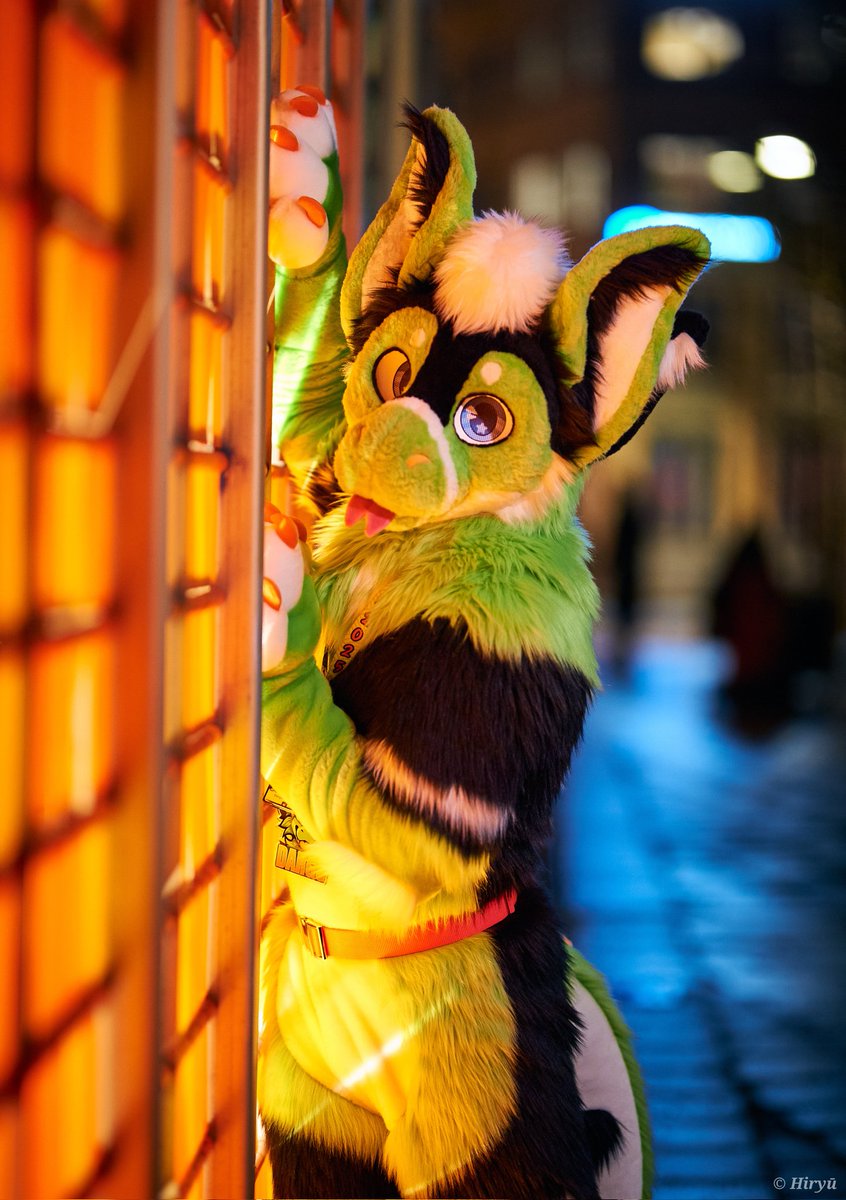 When the lights match the color of ur fursona 😘

📷 <a href="/HiryuTheDragon/">Hiryū</a>