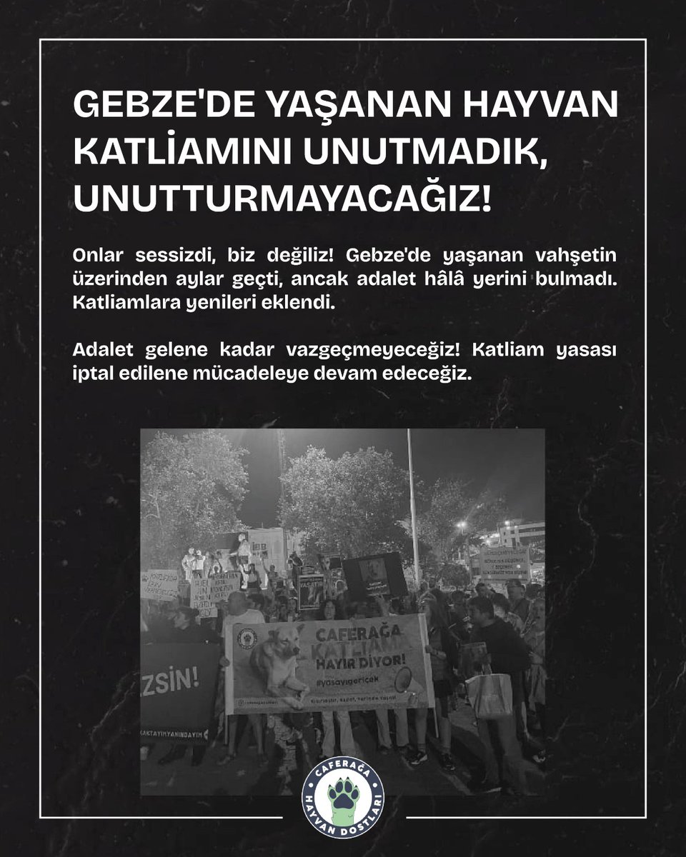 📢 Gebze'de Yaşanan Hayvan Katliamını Unutmadık, Unutturmayacağız!
Onlar sessizdi, biz değiliz! 🐾  Katliamlara yenileri eklendi. 
🐾 Adalet gelene kadar vazgeçmeyeceğiz! Katliam yasası iptal edilene mücadeleye devam edeceğiz.
#Gebzedekatliamvar
#Unutmadık
#HayvanlarİçinAdalet