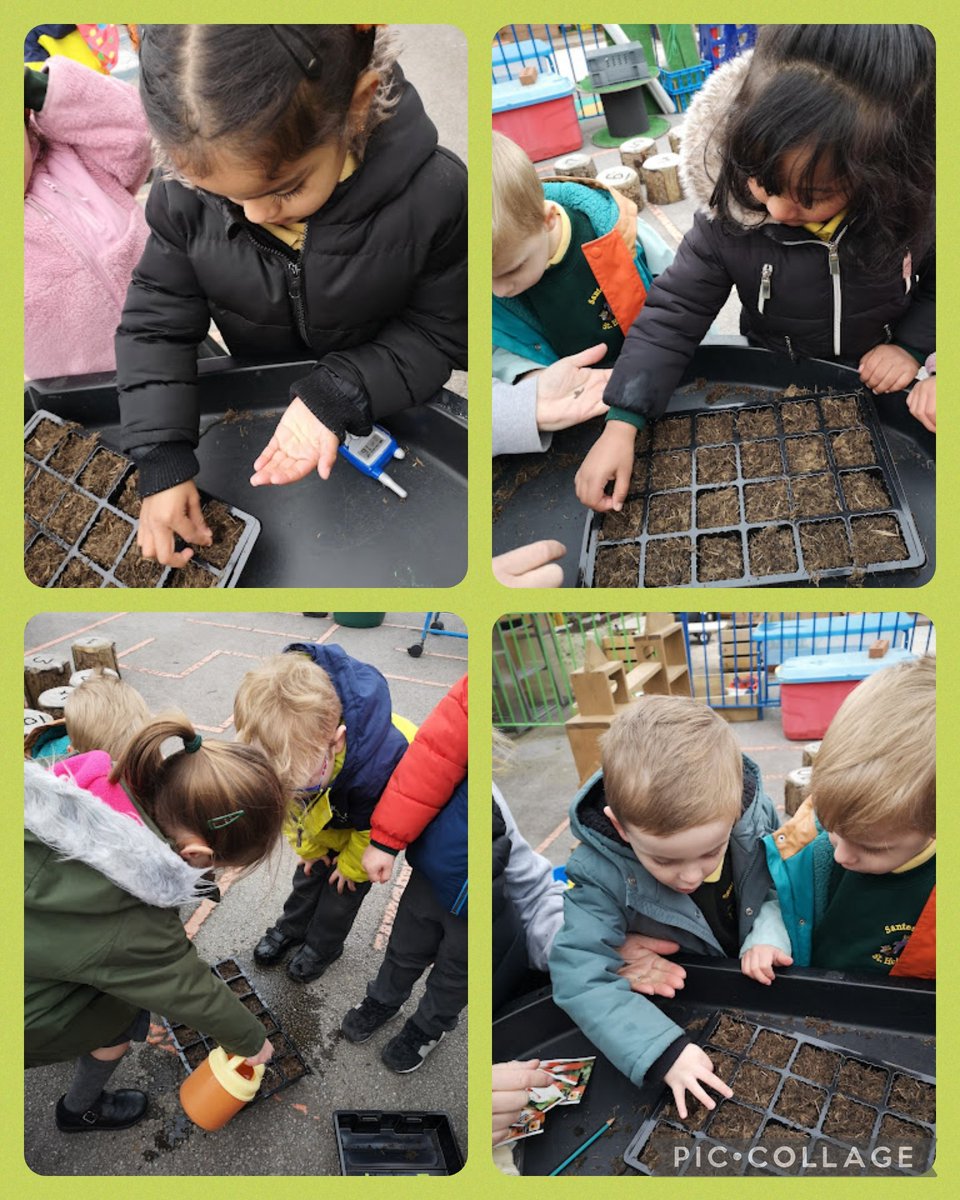 sthcpsbarry's tweet photo. #MeithrinAM have been learning about what is needed for a plant to grow. We have planted Cauliflower and courgette seeds today and placed the trays in our greenhouse! #BritishScienceWeek #STEM #STEMeducation #Ecoministry https://t.co/2hUklHBvJV